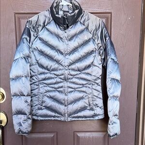The North Face Women's Silver Puffer Jacket